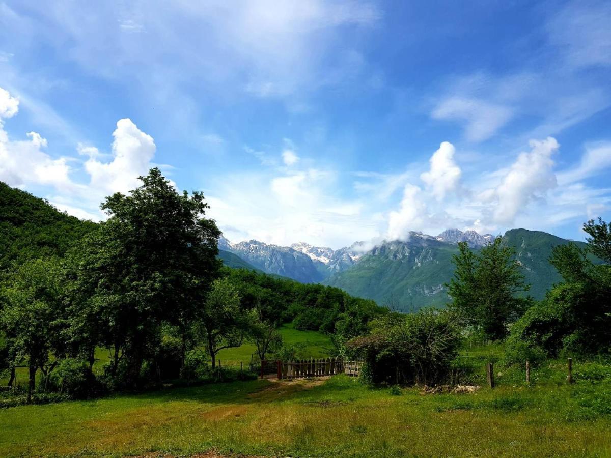 Bungalows Malagic Gusinje Dış mekan fotoğraf