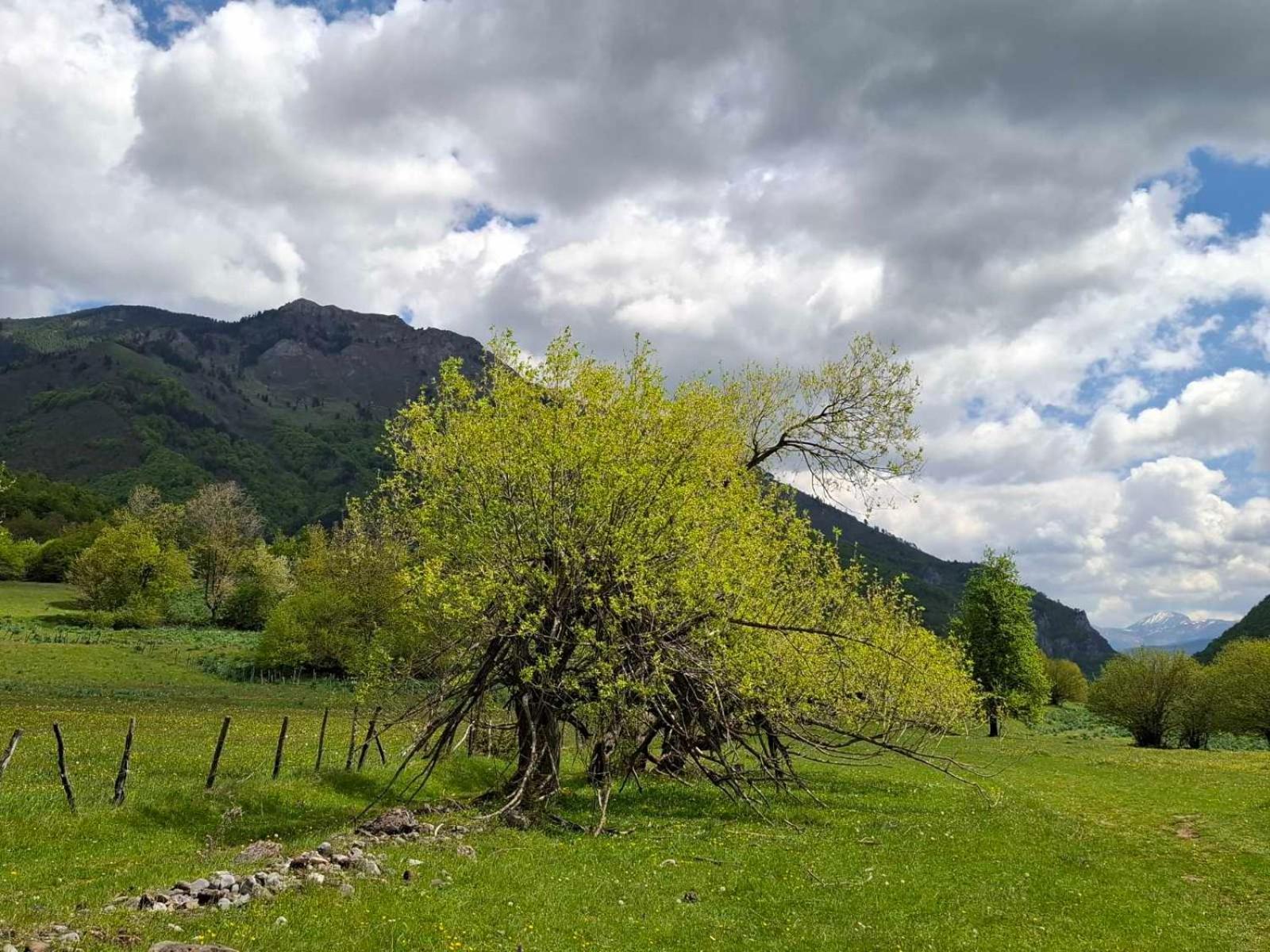 Bungalows Malagic Gusinje Dış mekan fotoğraf